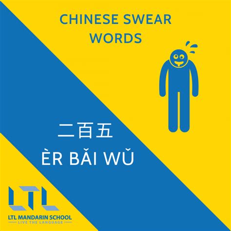 chinese slurs in mandarin|The Most Common Used Chinese Swear Words.